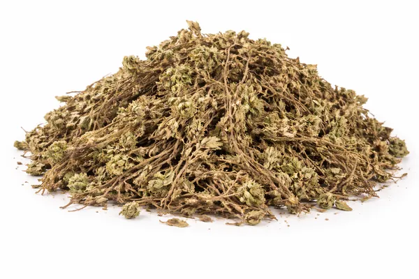 Sanjeevni_Booti_Whole_Selaginella_Bryopteris